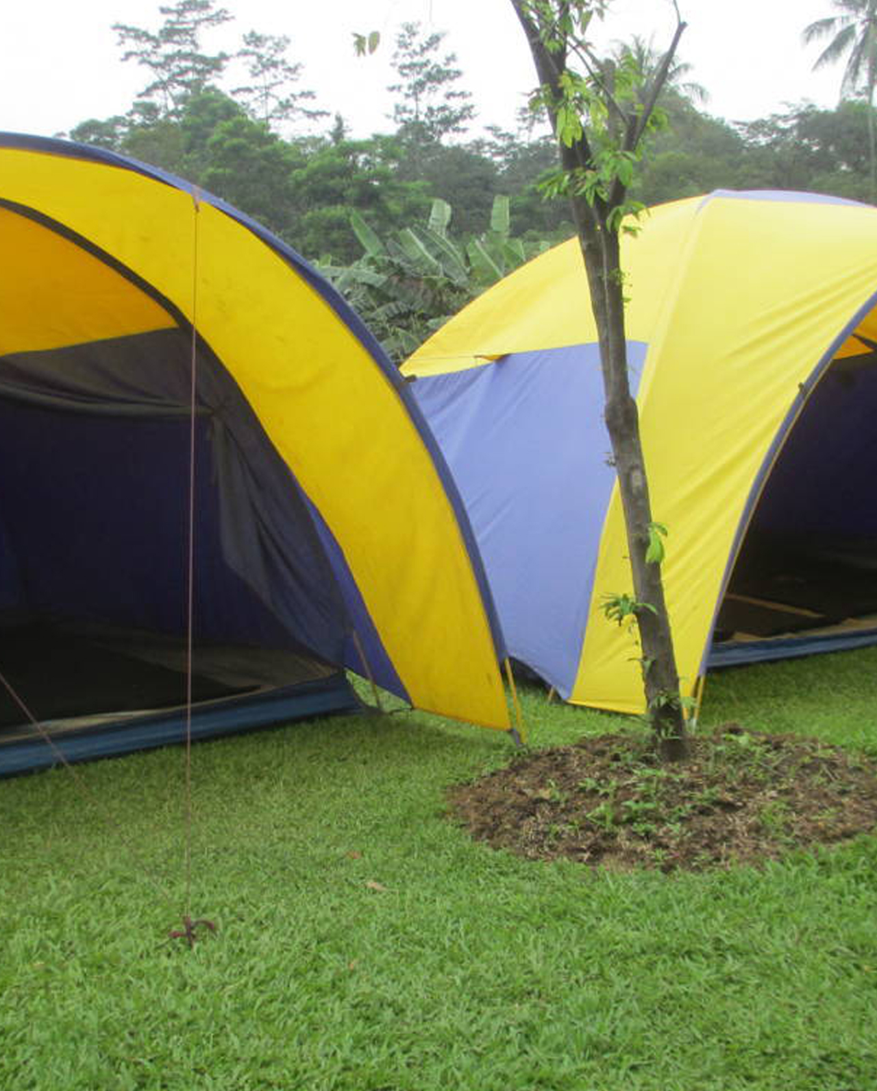 Camping3